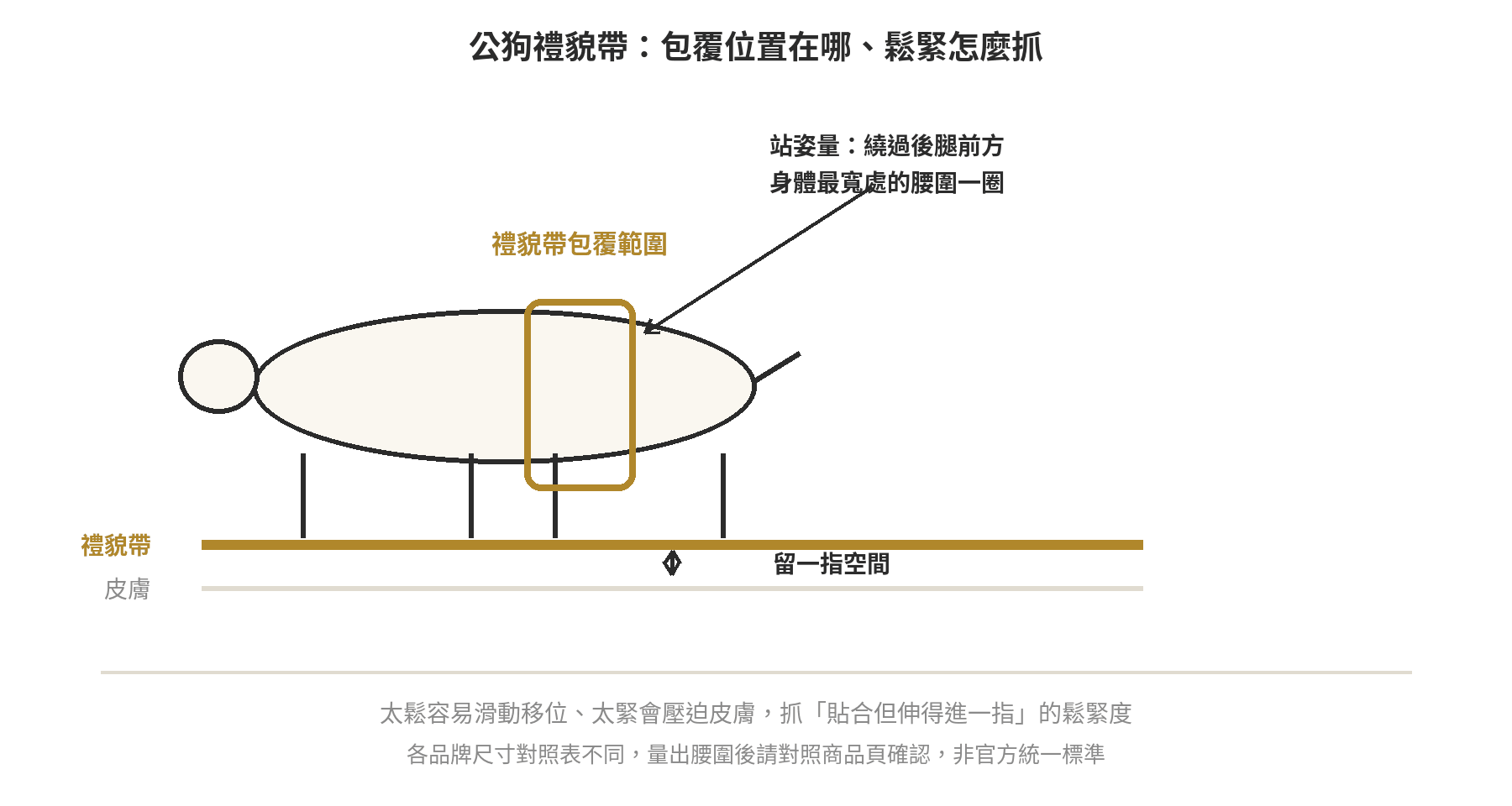 公狗禮貌帶(生理褲)怎麼挑?和尿布墊差在哪、什麼情況該用 公狗禮貌帶怎麼量:站姿繞過後腿前方量腰圍,包覆範圍需超過陰莖前緣,鬆緊留一指空間