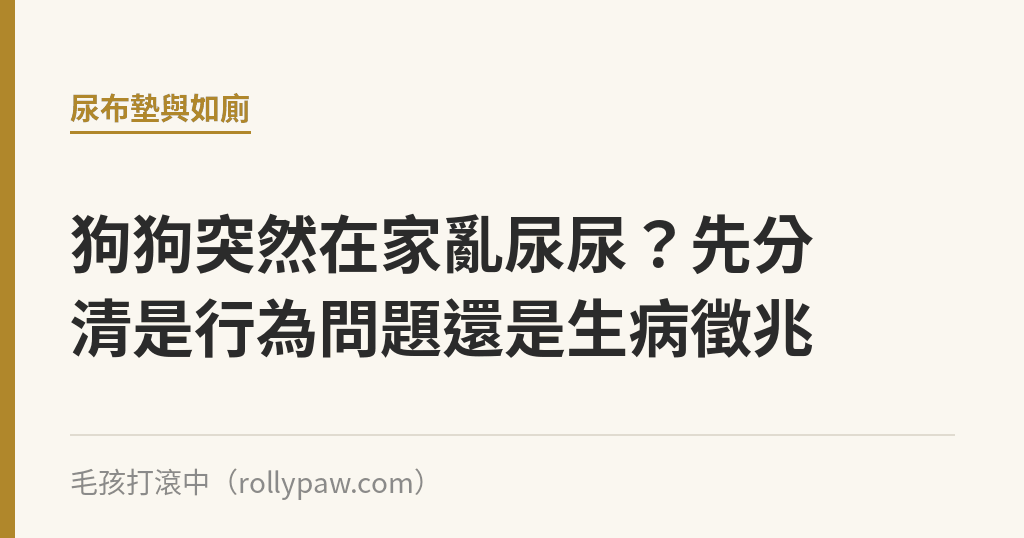 狗狗突然在家亂尿尿？先分清是行為問題還是生病徵兆｜毛孩打滾中