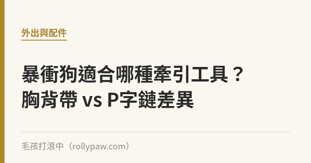 暴衝狗適合哪種牽引工具？胸背帶 vs P字鏈差異｜毛孩打滾中