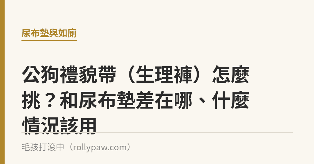 公狗禮貌帶（生理褲）怎麼挑？和尿布墊差在哪、什麼情況該用｜毛孩打滾中