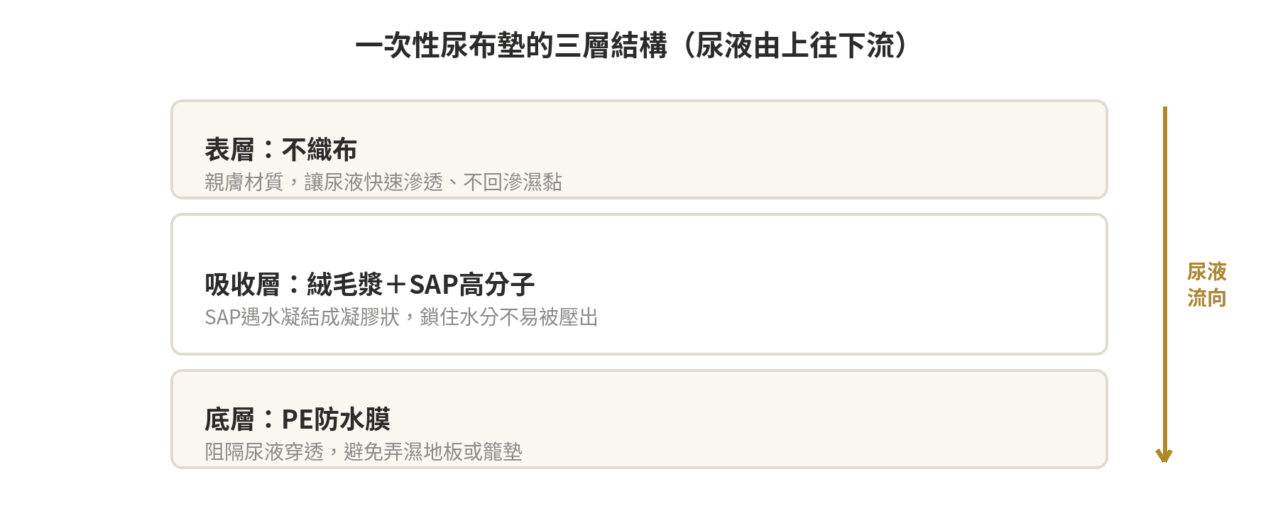 狗狗尿布墊怎麼選?6種材質吸水力比較表 一次性尿布墊三層結構剖面圖:表層不織布、吸收層絨毛漿加SAP、底層PE防水膜