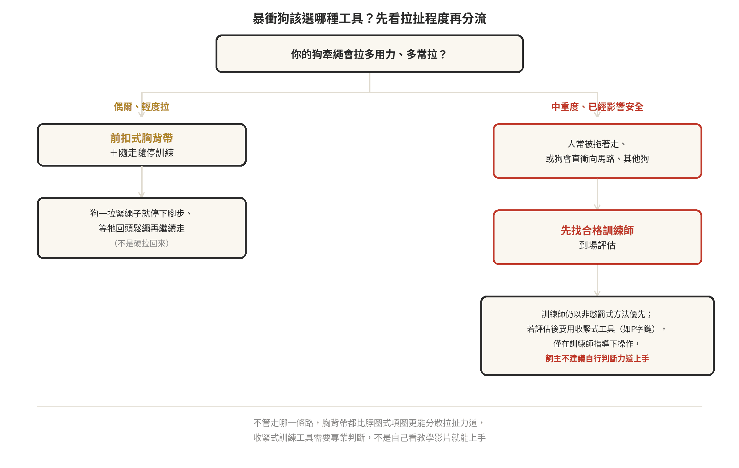 暴衝狗適合哪種牽引工具?胸背帶 vs P字鏈差異 暴衝狗選牽引工具決策分流圖:輕度拉扯選前扣式胸背帶並搭配隨走隨停訓練,中重度已影響安全先找合格訓練師評估
