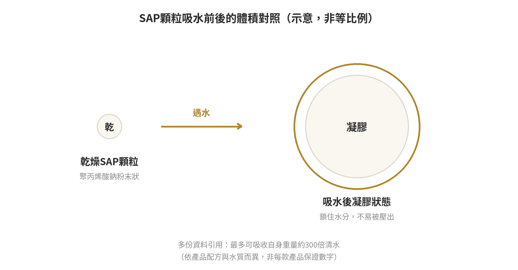 尿布墊SAP吸水材質是什麼?產地與安全性一次看懂 SAP顆粒吸水前後體積對照示意圖:乾燥顆粒遇水膨脹成凝膠狀態