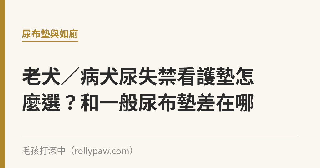 老犬／病犬尿失禁看護墊怎麼選？和一般尿布墊差在哪｜毛孩打滾中