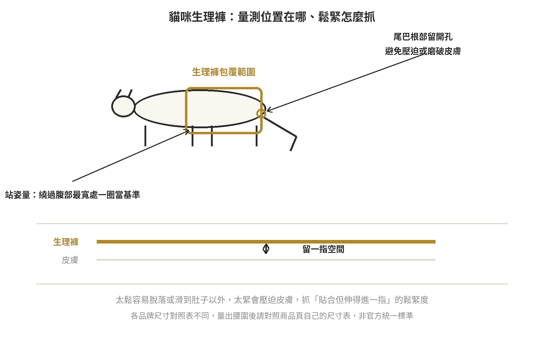貓咪發情期生理褲怎麼挑?穿戴時機與注意事項 貓咪生理褲量測位置示意圖:站姿繞過腹部最寬處量腰圍,尾巴根部留開孔,鬆緊抓貼合但伸得進一指