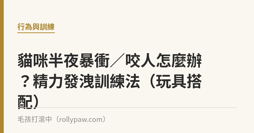 貓咪半夜暴衝／咬人怎麼辦？精力發洩訓練法（玩具搭配）｜毛孩打滾中