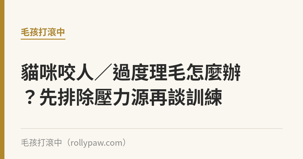 貓咪咬人／過度理毛怎麼辦？先排除壓力源再談訓練｜毛孩打滾中