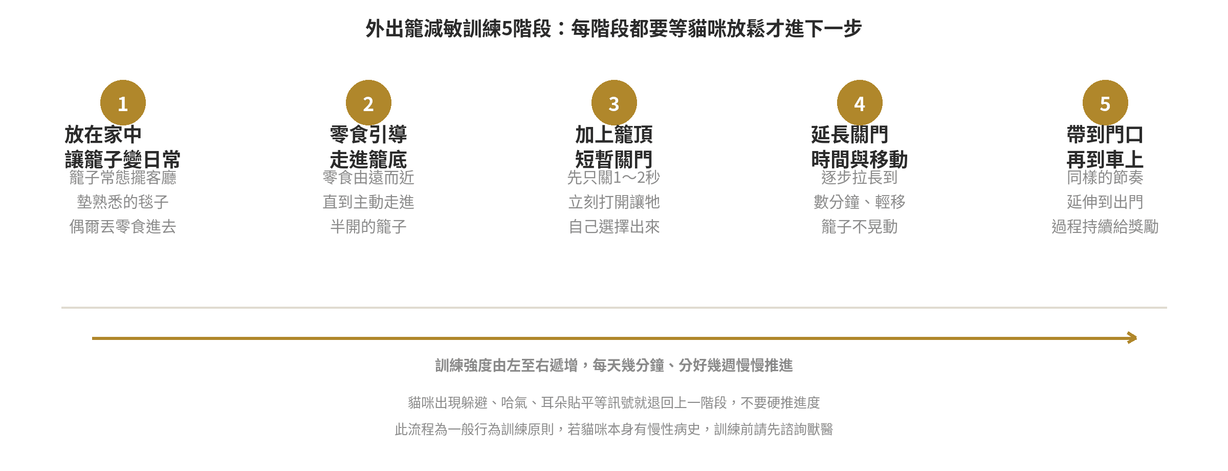 貓咪第一次外出/看醫生怎麼降低緊迫?外出籠訓練法 外出籠減敏訓練5階段流程圖:從放在家中變日常、零食引導走進籠底、加上籠頂短暫關門、延長關門時間與移動,到帶到門口再到車上