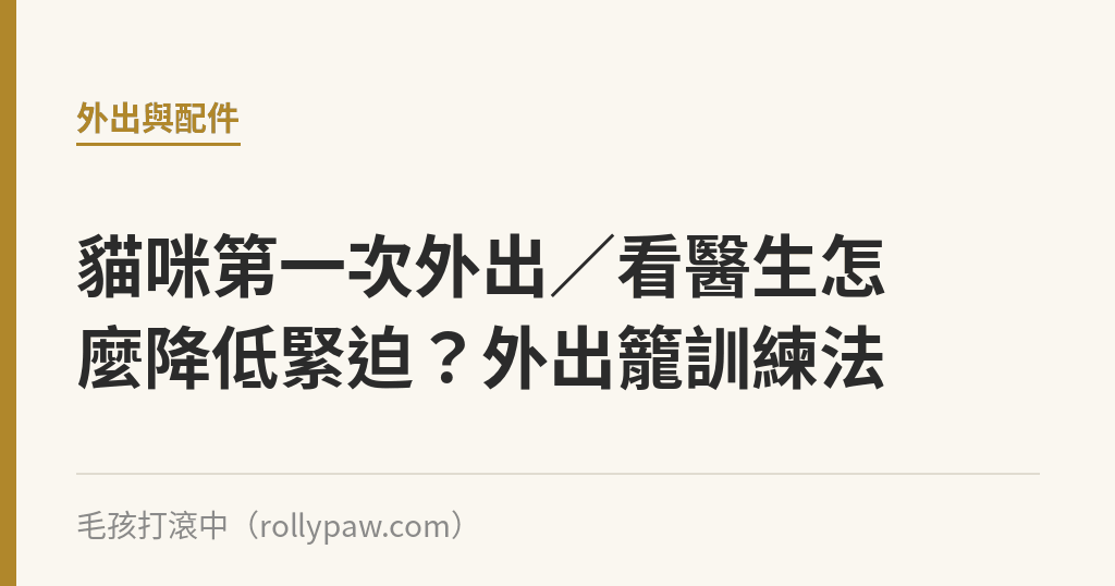 貓咪第一次外出／看醫生怎麼降低緊迫？外出籠訓練法｜毛孩打滾中
