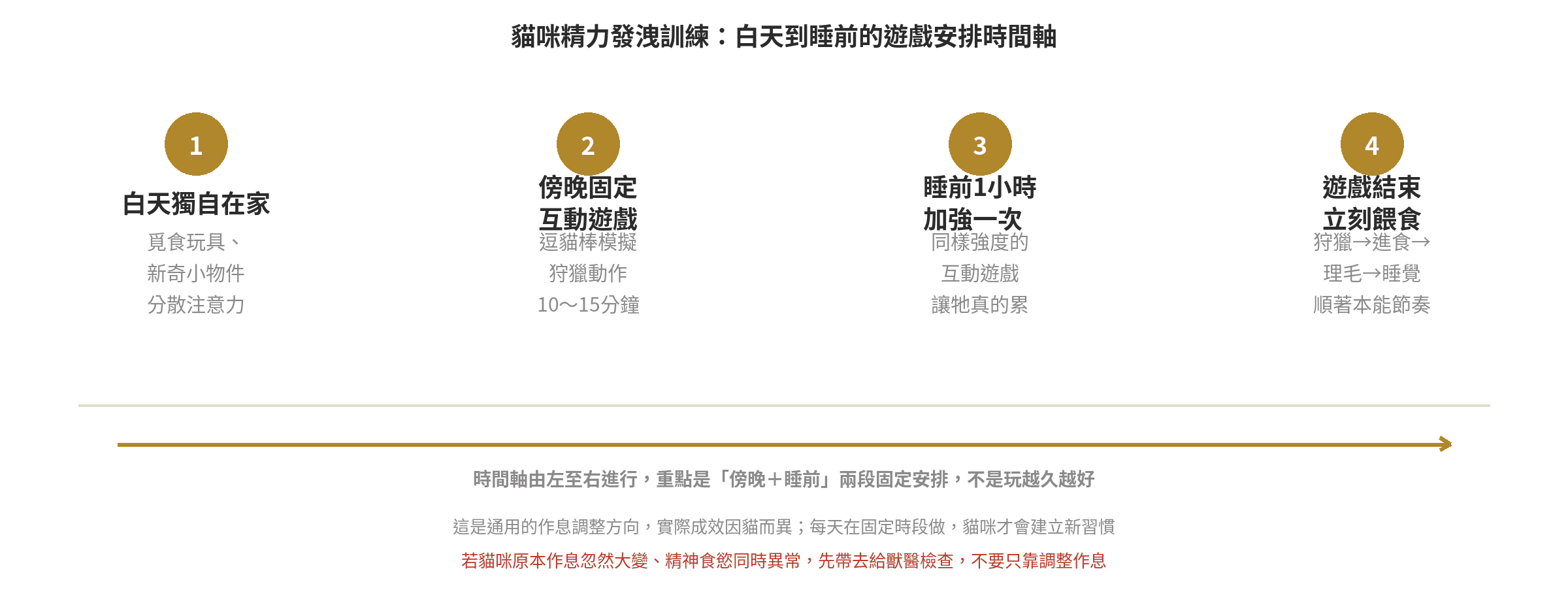 貓咪精力發洩訓練白天到睡前的遊戲安排時間軸示意圖