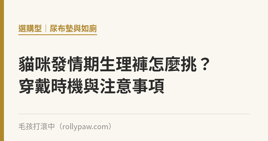 貓咪發情期生理褲怎麼挑？穿戴時機與注意事項｜毛孩打滾中