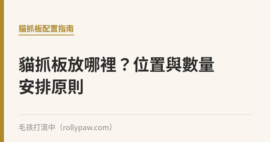 貓抓板放哪裡？位置與數量安排原則｜毛孩打滾中