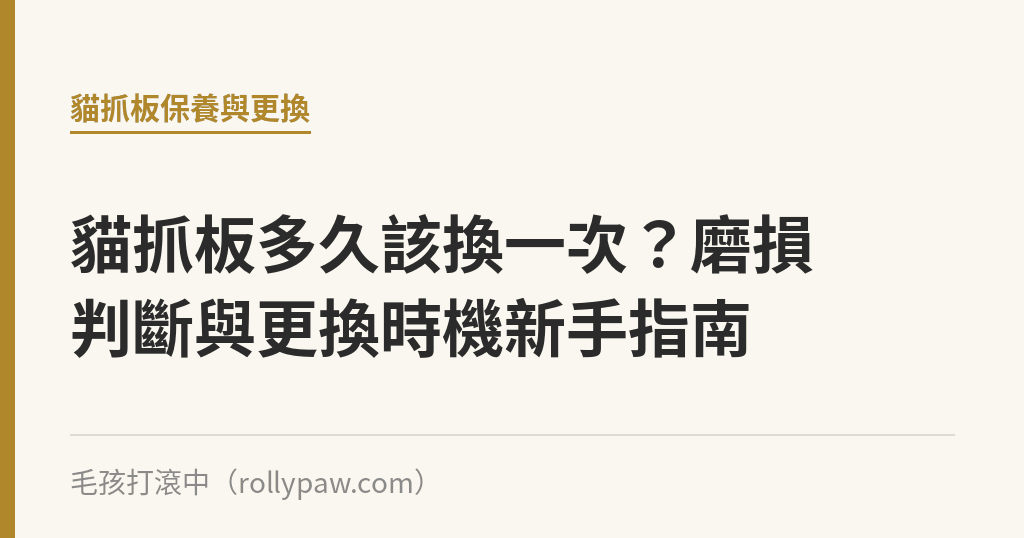 貓抓板多久該換一次？磨損判斷與更換時機新手指南｜毛孩打滾中