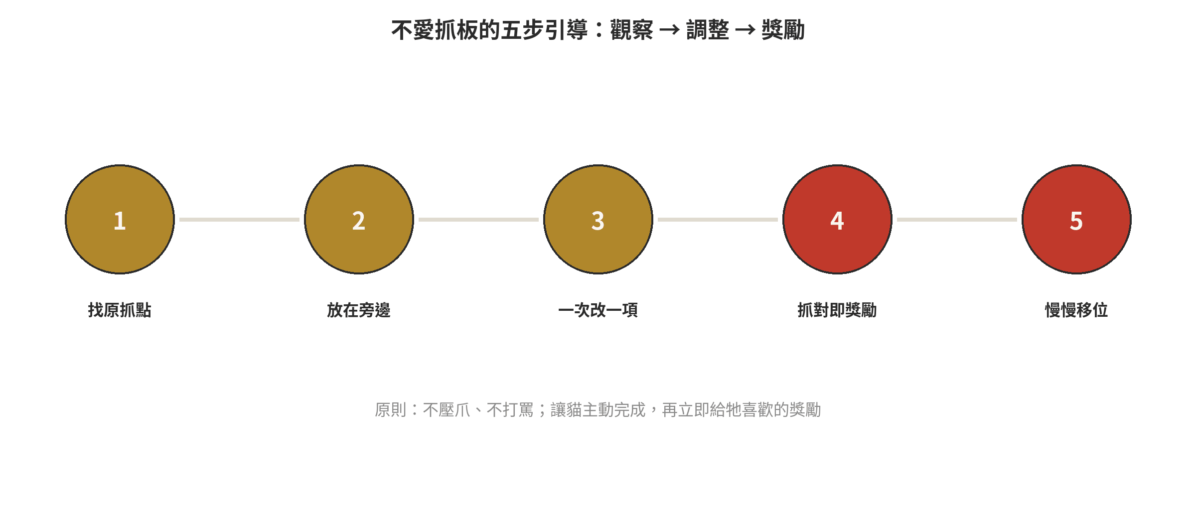 貓咪不愛用貓抓板怎麼辦?5招引導磨爪不抓沙發 貓咪不愛抓板的五步引導流程:找原抓點、放在旁邊、一次改一項、抓對即獎勵、慢慢移位