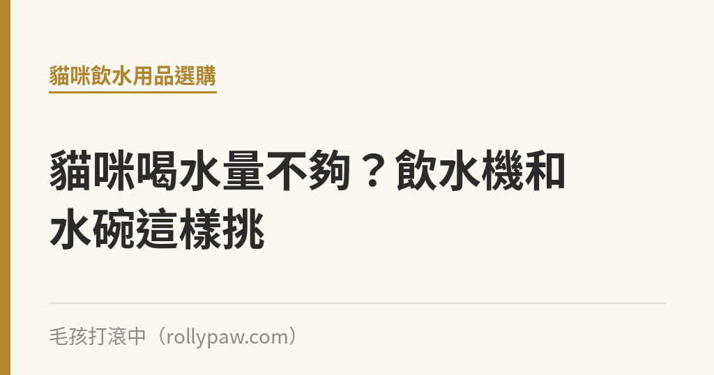 貓咪喝水量不夠？飲水機和水碗這樣挑｜毛孩打滾中