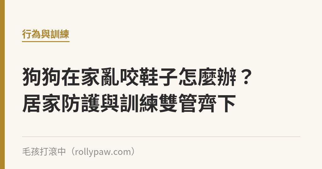 狗狗在家亂咬鞋子怎麼辦？居家防護與訓練雙管齊下｜毛孩打滾中