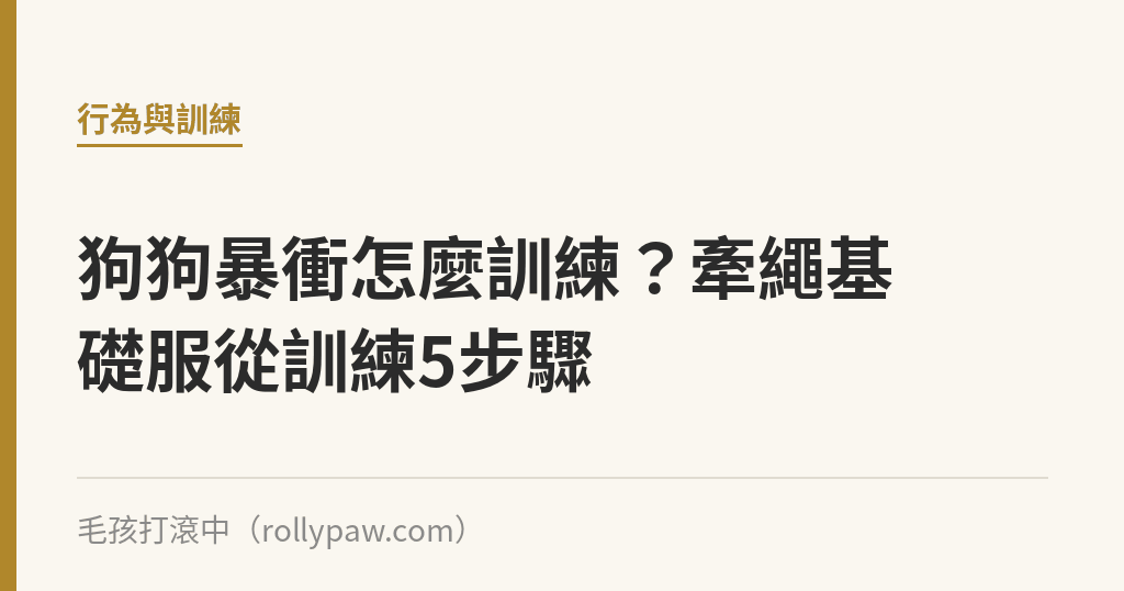狗狗暴衝怎麼訓練？牽繩基礎服從訓練5步驟｜毛孩打滾中