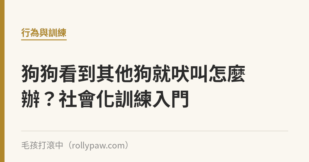 狗狗看到其他狗就吠叫怎麼辦？社會化訓練入門｜毛孩打滾中