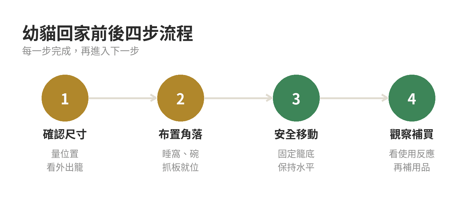 幼貓用品清單:新手貓奴回家前準備指南 幼貓從採買到回家安置的四步流程圖:確認尺寸、布置安全角落、固定外出籠、觀察後補買