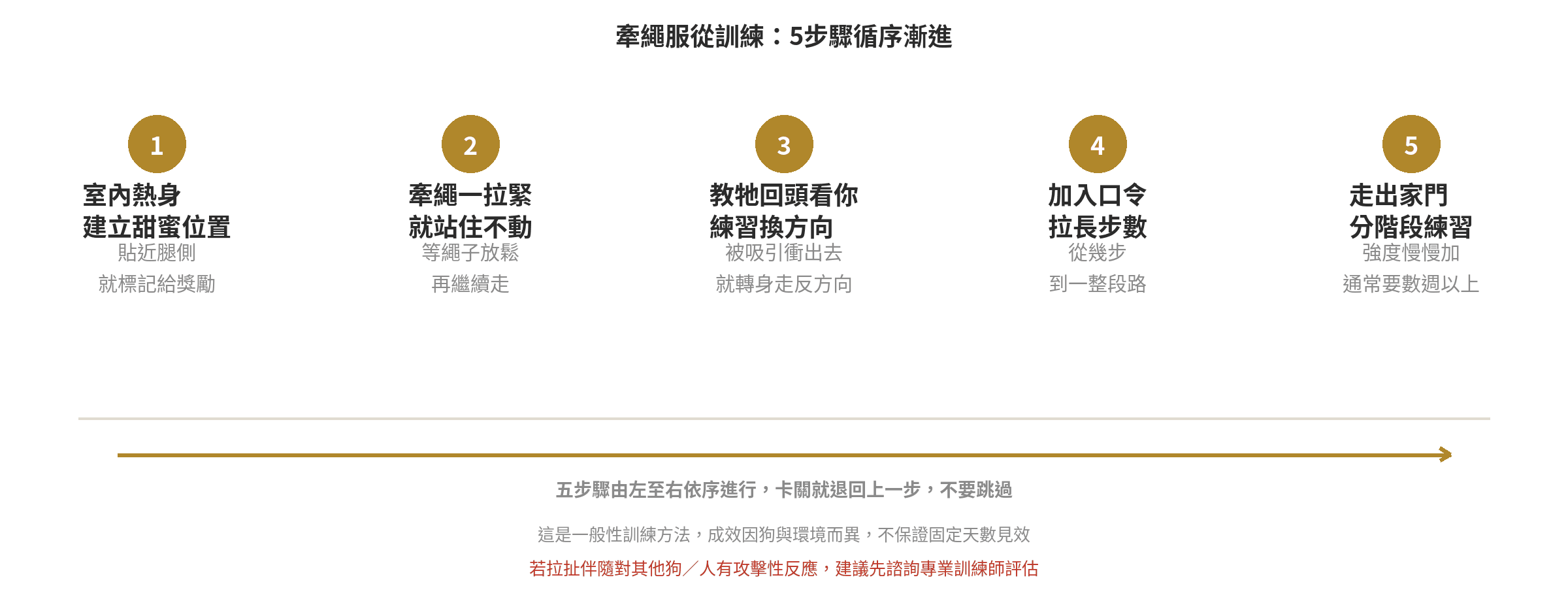 狗狗暴衝怎麼訓練?牽繩基礎服從訓練5步驟 牽繩服從訓練5步驟流程圖:室內建立甜蜜位置、牽繩拉緊就站住、教回頭換方向、加口令拉長步數、走出家門分階段練習