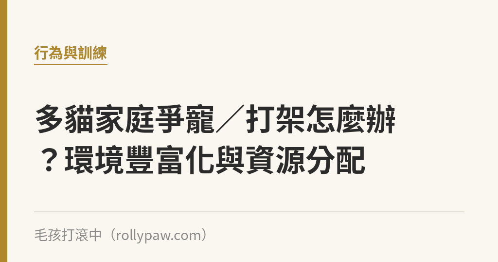 多貓家庭爭寵／打架怎麼辦？環境豐富化與資源分配｜毛孩打滾中