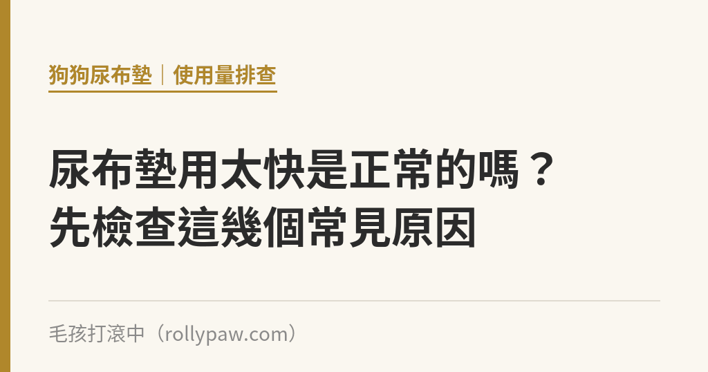 尿布墊用太快是正常的嗎？先檢查這幾個常見原因｜毛孩打滾中