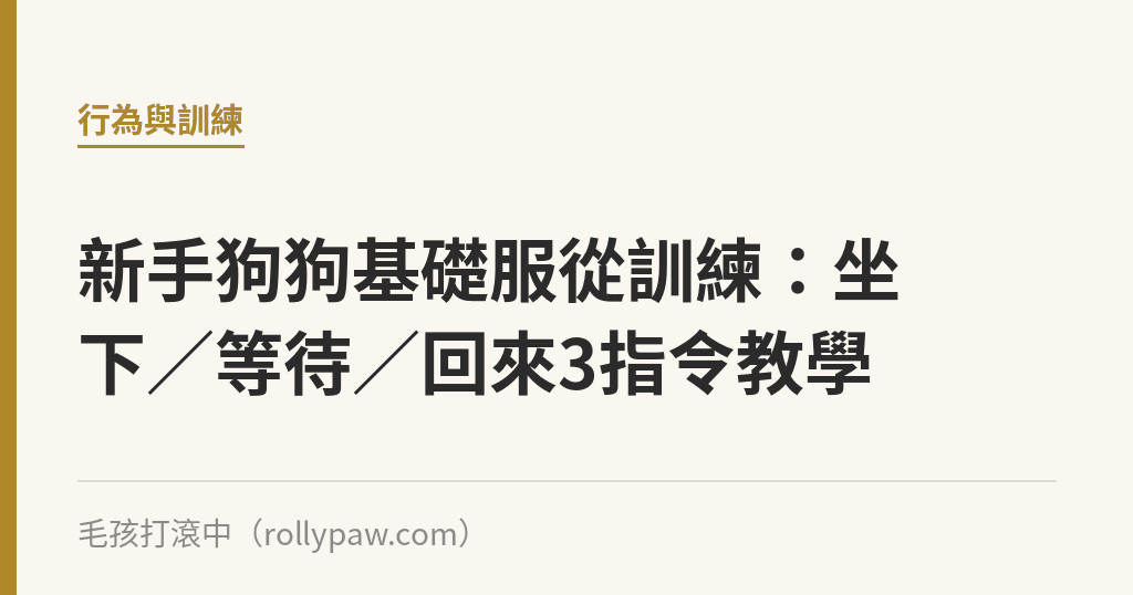 新手狗狗基礎服從訓練：坐下／等待／回來3指令教學｜毛孩打滾中
