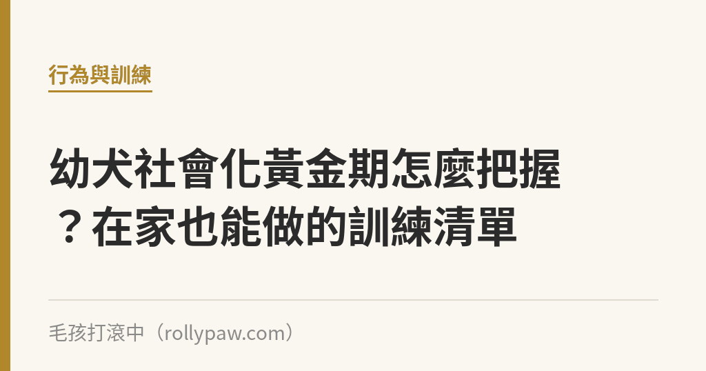 幼犬社會化黃金期怎麼把握？在家也能做的訓練清單｜毛孩打滾中