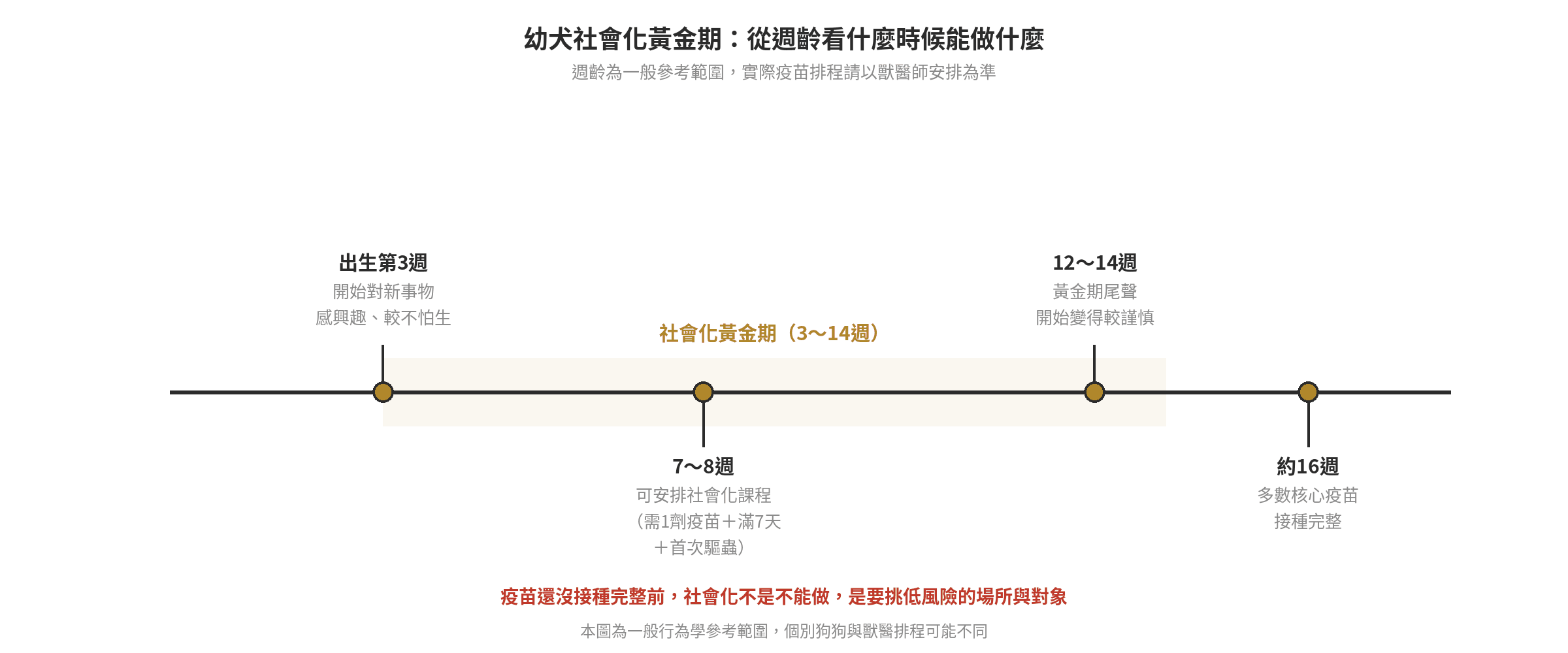 幼犬社會化黃金期怎麼把握?在家也能做的訓練清單 幼犬社會化黃金期時間軸:3週開始、7~8週可上課、12~14週黃金期尾聲、16週疫苗接種完整