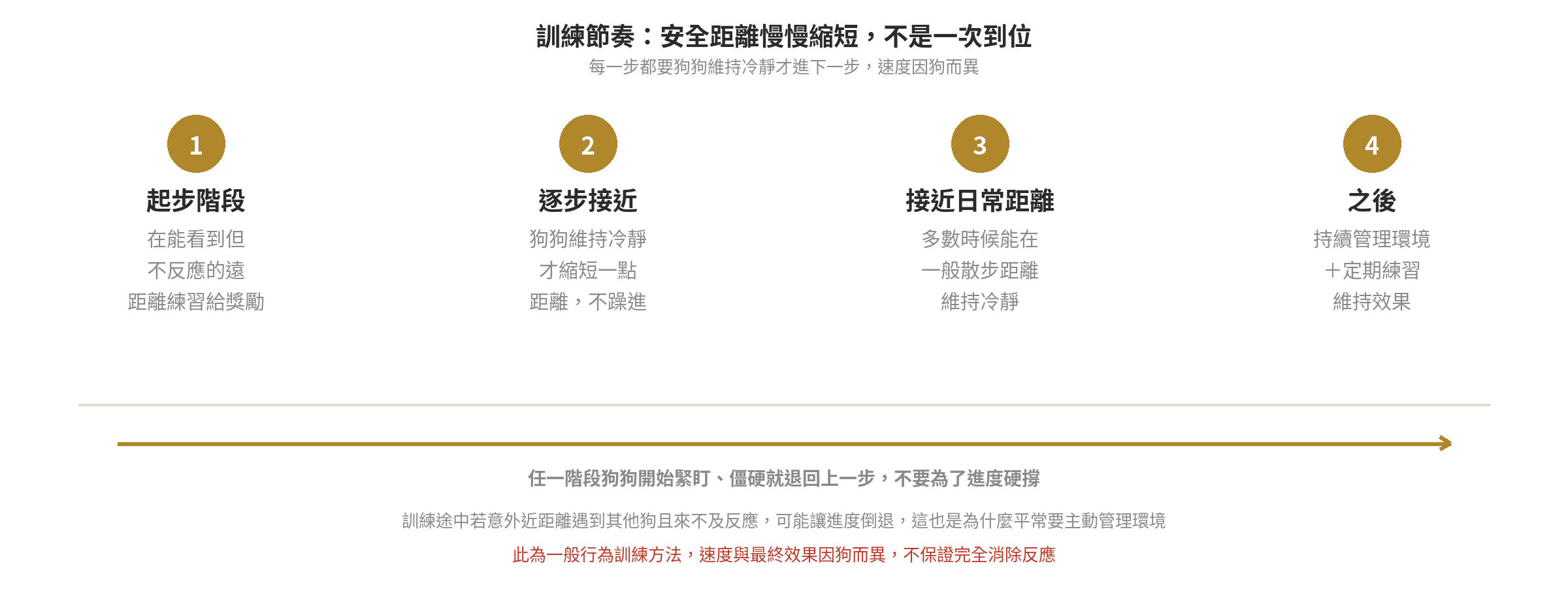 狗狗看到其他狗就吠叫怎麼辦?社會化訓練入門 訓練節奏時間軸:起步階段在遠距離練習給獎勵、逐步接近縮短距離、接近日常散步距離維持冷靜、之後持續管理環境並定期練習維持效果