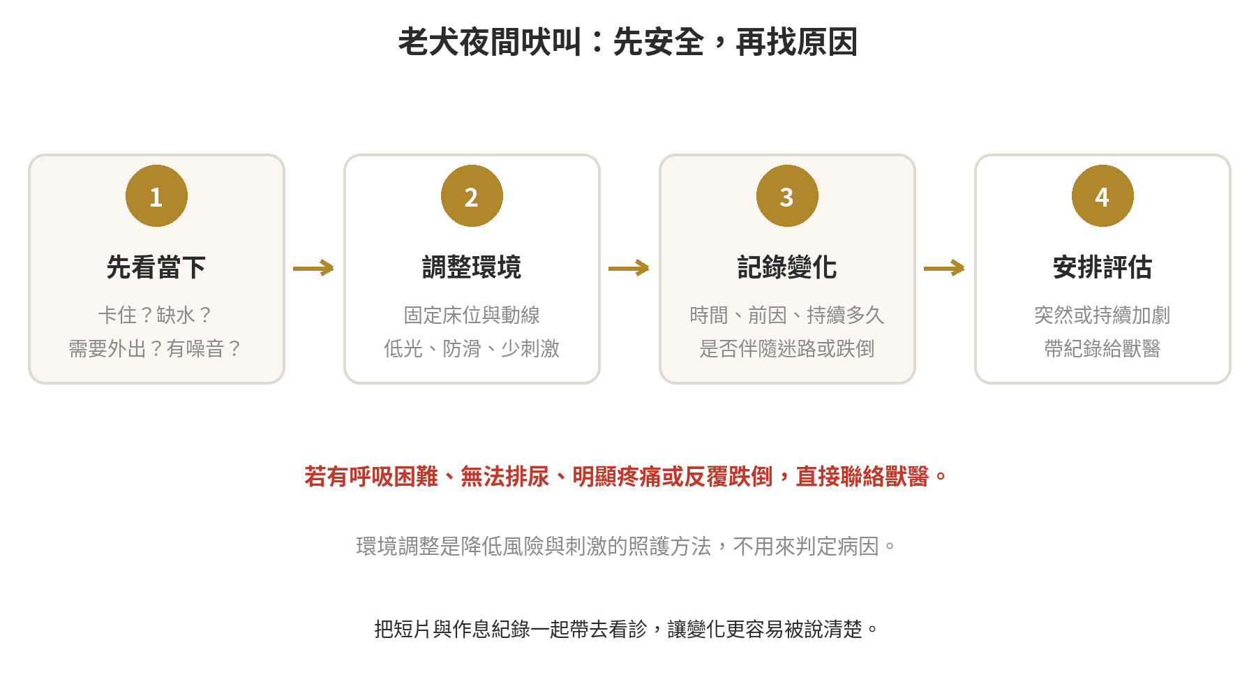 老犬夜間吠叫怎麼辦?環境調整技巧 老犬夜間吠叫的安全判斷流程:先檢查安全與需求,再記錄變化並安排獸醫評估