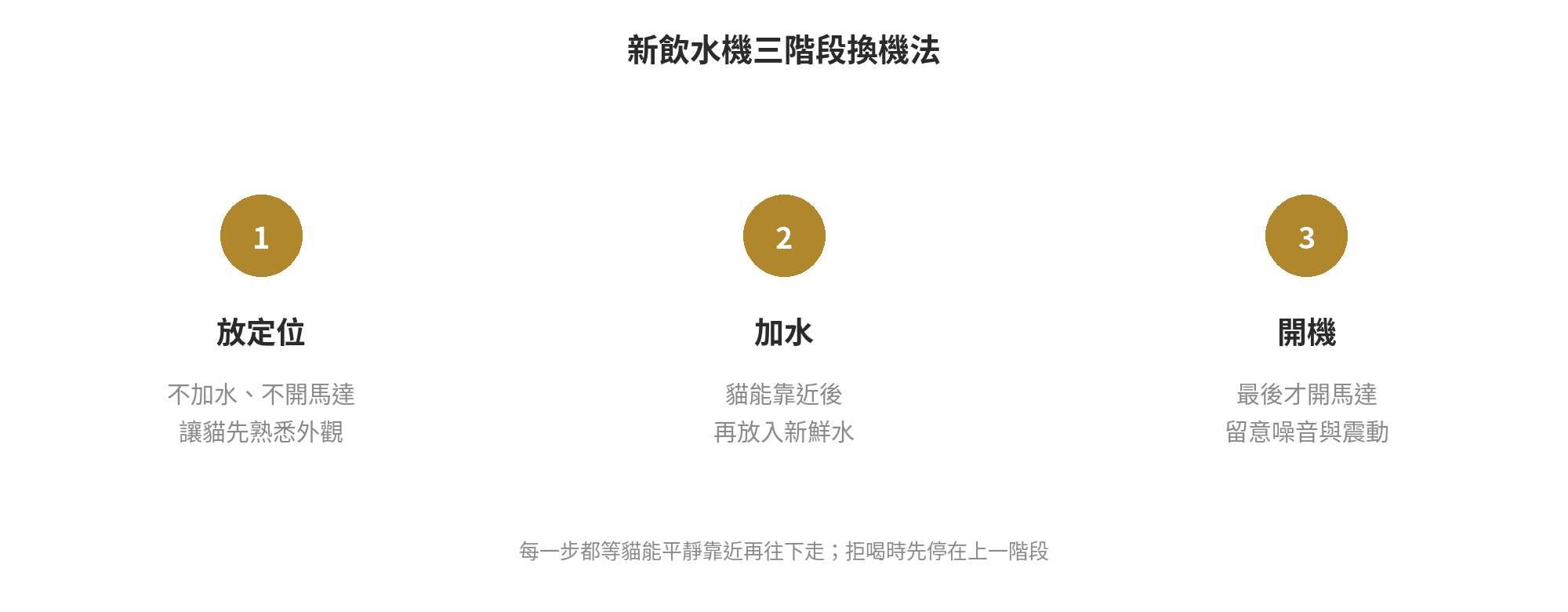 貓咪飲水機水溫重要嗎?夏天冬天怎麼調整飲水習慣 貓咪適應新飲水機的三階段:放定位、加水、最後開機