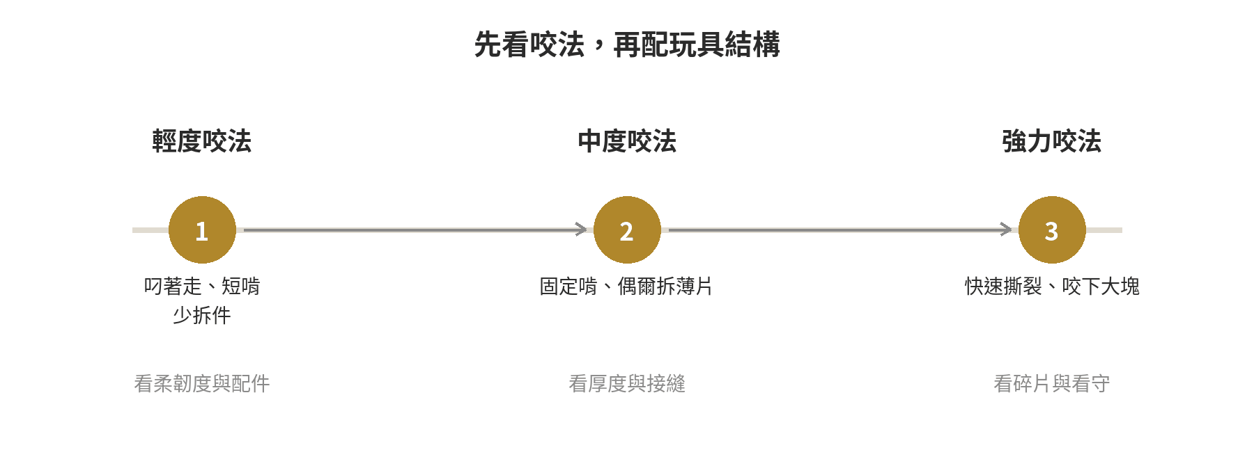 狗狗耐咬玩具怎麼挑?依犬種力道分級選購指南 由輕度啃咬到強力拆解的狗狗咬法判斷軸,依行為提示玩具選擇重點