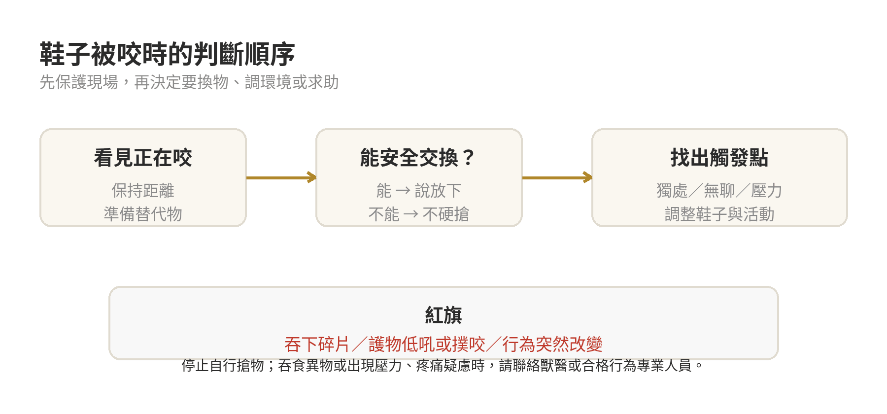 狗狗在家亂咬鞋子怎麼辦?居家防護與訓練雙管齊下 鞋子被咬時,從保持距離、判斷能否交換到找出獨處無聊壓力觸發點的流程圖