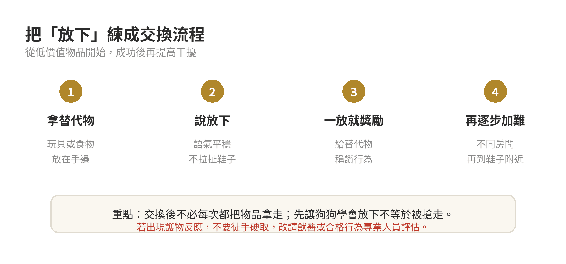 狗狗在家亂咬鞋子怎麼辦?居家防護與訓練雙管齊下 以替代物、放下口令、立即獎勵和逐步加難教狗狗交換物品的四步圖