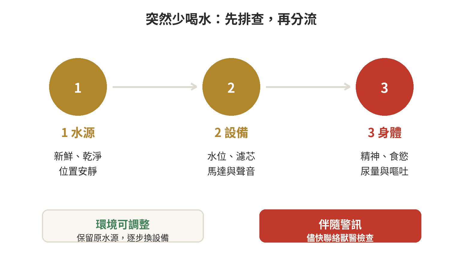 貓咪喝水量不夠?飲水機和水碗這樣挑 貓咪突然少喝水時,從水源、設備到獸醫檢查的判斷流程圖